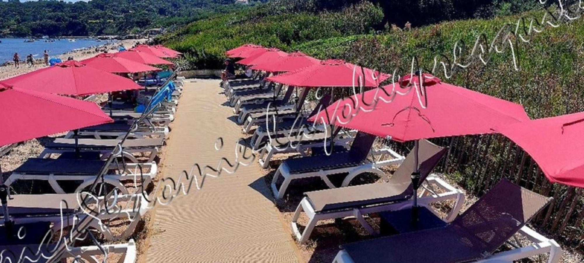 Magnifique Parc De La Presqu'Ile Avec Piscine Et Plage Face A Porquerolles ! Hyeres Ngoại thất bức ảnh