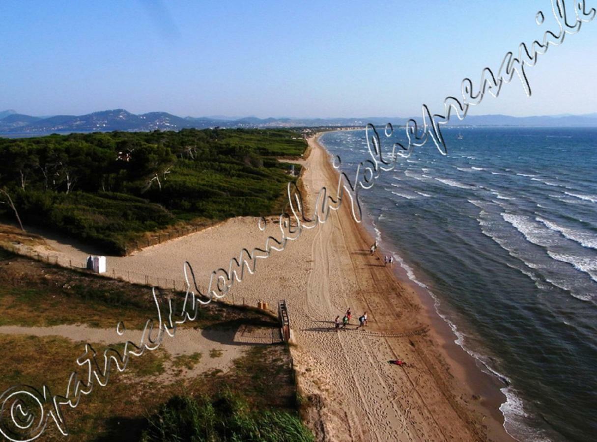Magnifique Parc De La Presqu'Ile Avec Piscine Et Plage Face A Porquerolles ! Hyeres Ngoại thất bức ảnh